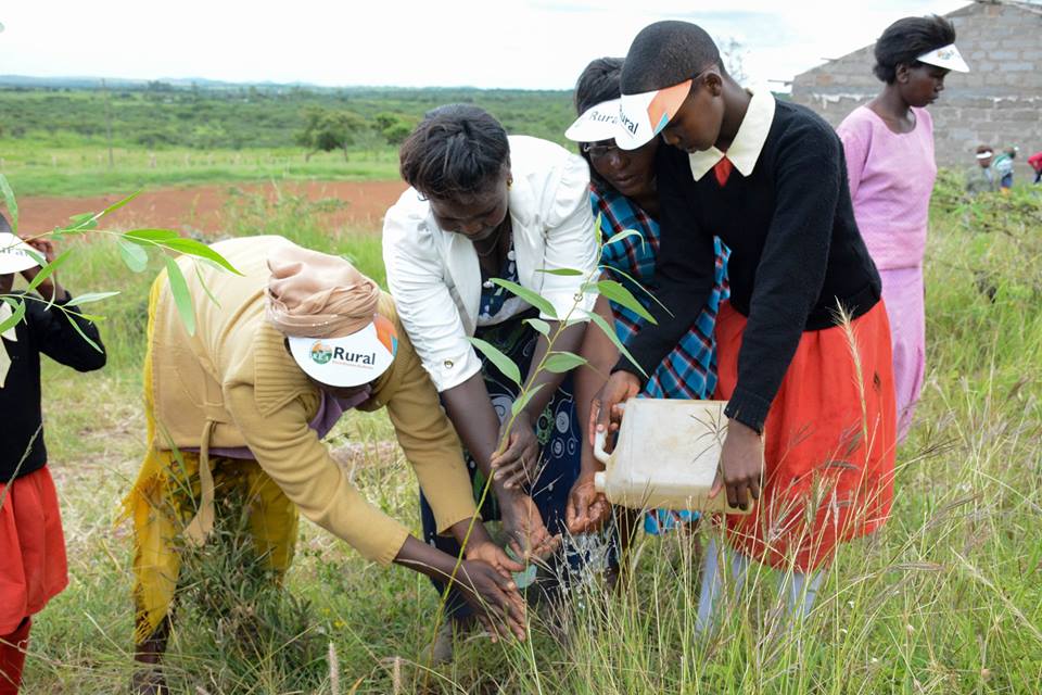 treeplanting1