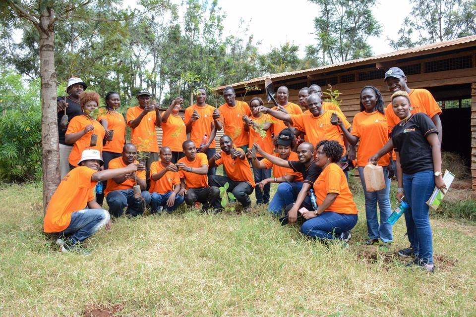 treeplanting3